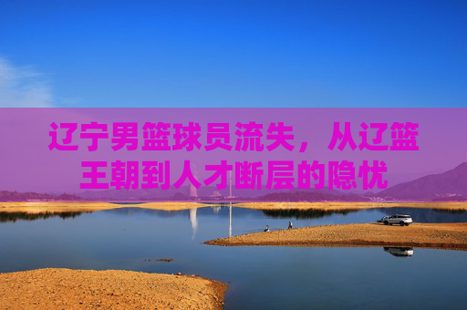 辽宁男篮球员流失,从辽篮王朝到人才断层的隐忧