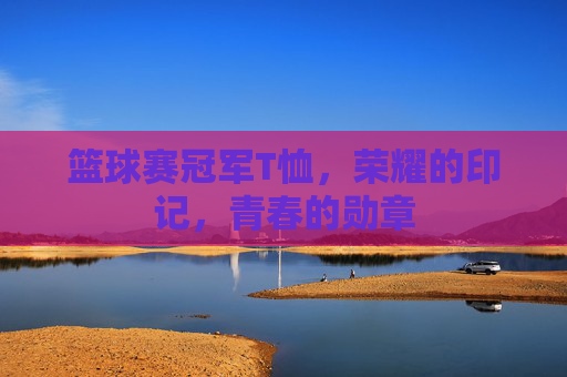篮球赛冠军T恤,荣耀的印记,青春的勋章