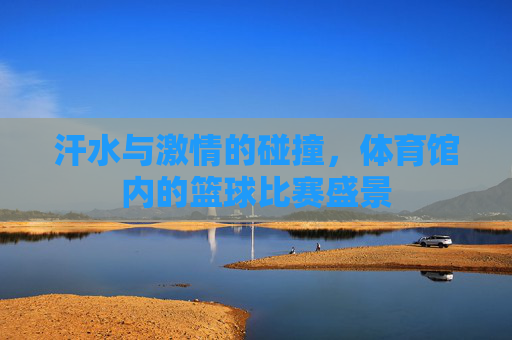 汗水与激情的碰撞,体育馆内的篮球比赛盛景