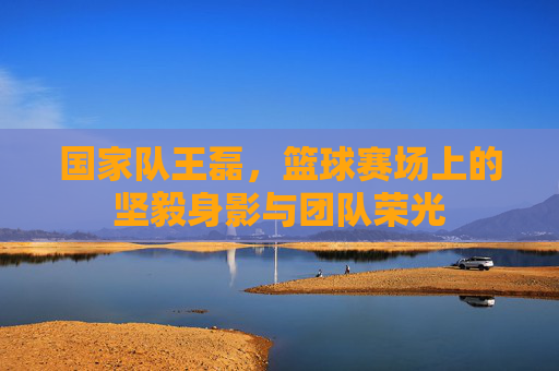 国家队王磊,篮球赛场上的坚毅身影与团队荣光