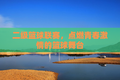 二级篮球联赛,点燃青春激情的篮球舞台