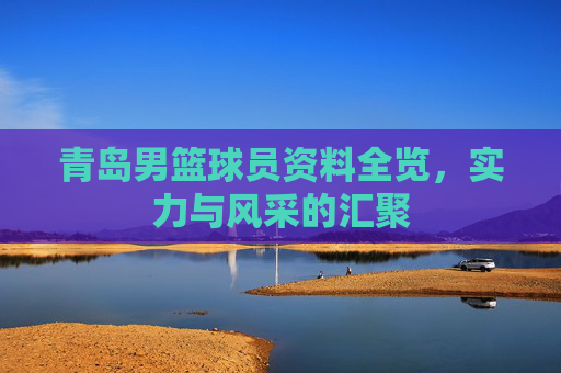 青岛男篮球员资料全览,实力与风采的汇聚