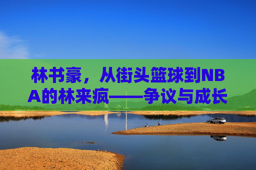 林书豪，从街头篮球到NBA的林来疯——争议与成长中的篮球精神探索