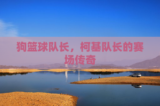 狗篮球队长,柯基队长的赛场传奇
