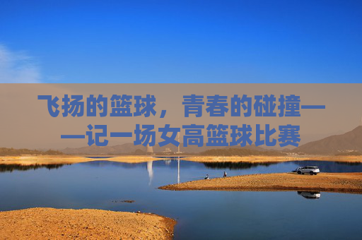 飞扬的篮球,青春的碰撞——记一场女高篮球比赛