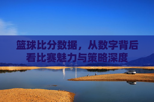 篮球比分数据,从数字背后看比赛魅力与策略深度