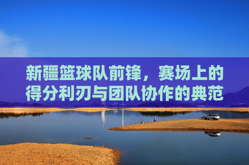 新疆篮球队前锋,赛场上的得分利刃与团队协作的典范