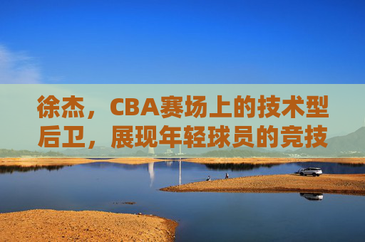 徐杰,CBA赛场上的技术型后卫,展现年轻球员的竞技潜力与成长轨迹,徐杰,CBA技术型后卫的竞技潜力与成长轨迹