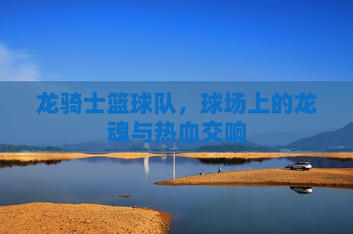 龙骑士篮球队，球场上的龙魂与热血交响
