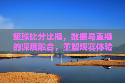 篮球比分比播,数据与直播的深度融合,重塑观赛体验