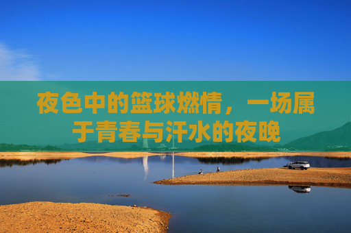 夜色中的篮球燃情,一场属于青春与汗水的夜晚