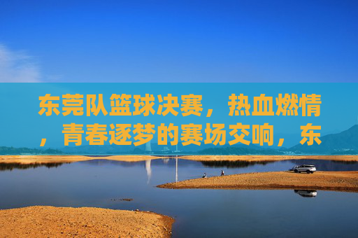 东莞队篮球决赛,热血燃情,青春逐梦的赛场交响,东莞队篮球决赛,热血燃情,青春逐梦的赛场交响