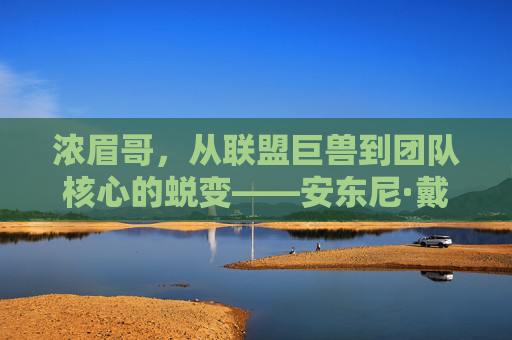 浓眉哥,从联盟巨兽到团队核心的蜕变——安东尼·戴维斯的赛场传奇与球队贡献