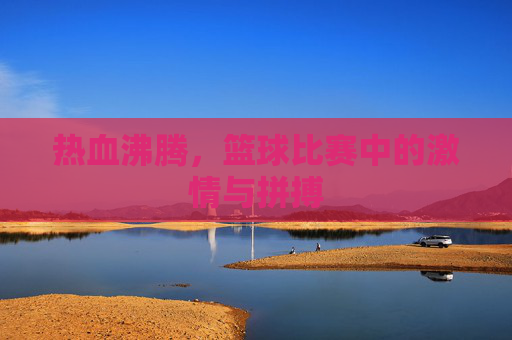 热血沸腾,篮球比赛中的激情与拼搏