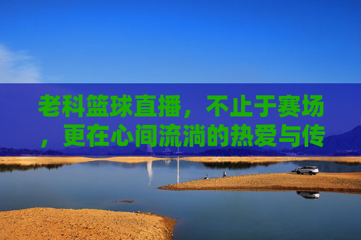 老科篮球直播，不止于赛场，更在心间流淌的热爱与传承，老科篮球直播，不止于赛场，更在心间流淌的热爱与传承