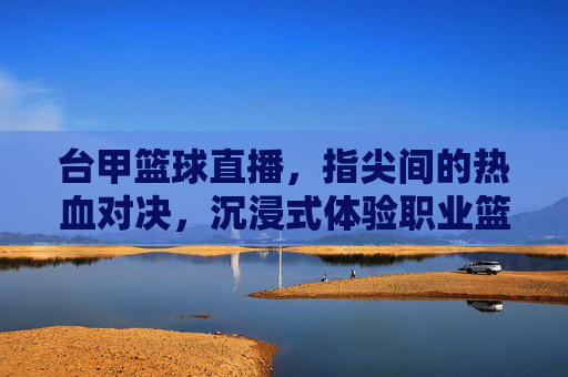 台甲篮球直播,指尖间的热血对决,沉浸式体验职业篮球的精彩瞬间,台甲篮球直播,指尖间的热血对决,沉浸式体验职业篮球的精彩瞬间