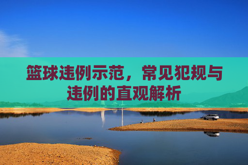篮球违例示范,常见犯规与违例的直观解析