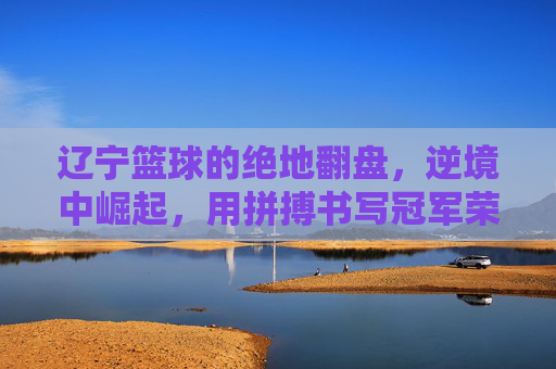 辽宁篮球的绝地翻盘,逆境中崛起,用拼搏书写冠军荣耀