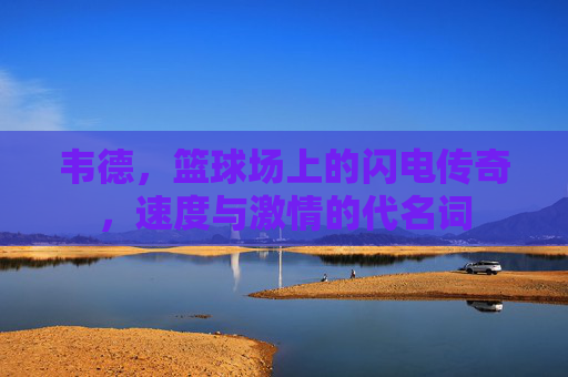 韦德,篮球场上的闪电传奇,速度与激情的代名词