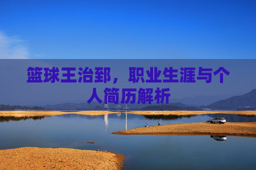 篮球王治郅,职业生涯与个人简历解析