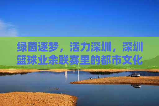绿茵逐梦,活力深圳,深圳篮球业余联赛里的都市文化图景