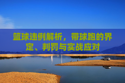 篮球违例解析,带球跑的界定、判罚与实战应对