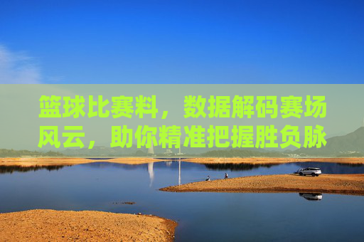 篮球比赛料，数据解码赛场风云，助你精准把握胜负脉搏，篮球比赛料，数据解码赛场风云，助你精准把握胜负脉搏