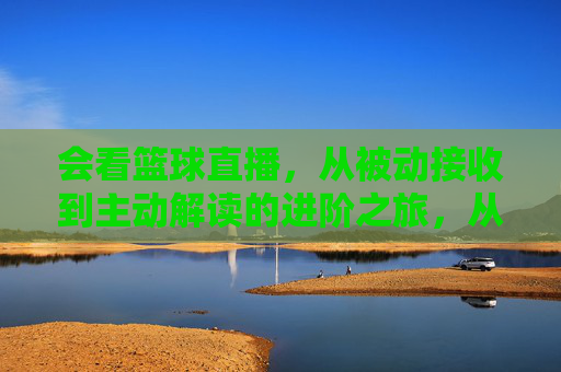 会看篮球直播,从被动接收到主动解读的进阶之旅,从被动到主动,篮球直播的进阶解读之旅