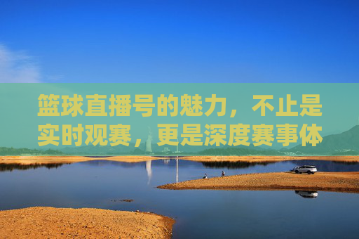 篮球直播号的魅力,不止是实时观赛,更是深度赛事体验的入口,篮球直播号的魅力,不止是实时观赛,更是深度赛事体验的入口