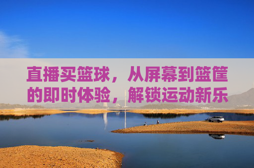 直播买篮球,从屏幕到篮筐的即时体验,解锁运动新乐趣,直播买篮球,从屏幕到篮筐的即时体验,解锁运动新乐趣