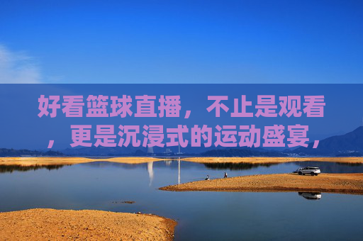 好看篮球直播,不止是观看,更是沉浸式的运动盛宴,沉浸式篮球直播,不止是观看,更是运动盛宴