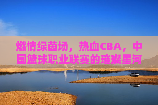 燃情绿茵场,热血CBA,中国篮球职业联赛的璀璨星河与时代印记,燃情绿茵场,热血CBA,中国篮球职业联赛的璀璨星河与时代印记
