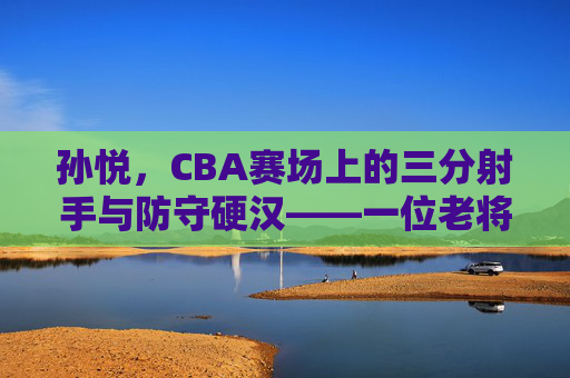 孙悦,CBA赛场上的三分射手与防守硬汉——一位老将的篮球传奇与坚守,孙悦,CBA赛场上的三分射手与防守硬汉——一位老将的篮球传奇与坚守
