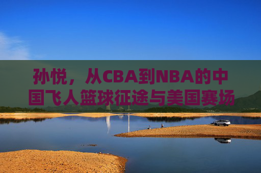 孙悦，从CBA到NBA的中国飞人篮球征途与美国赛场的风云，孙悦，从CBA到NBA的中国飞人篮球征途与美国赛场风云