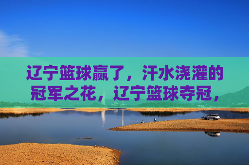 辽宁篮球赢了,汗水浇灌的冠军之花,辽宁篮球夺冠,汗水浇灌的冠军之花