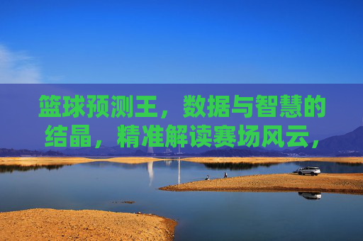 篮球预测王，数据与智慧的结晶，精准解读赛场风云，篮球预测王，数据与智慧的结晶，精准解读赛场风云