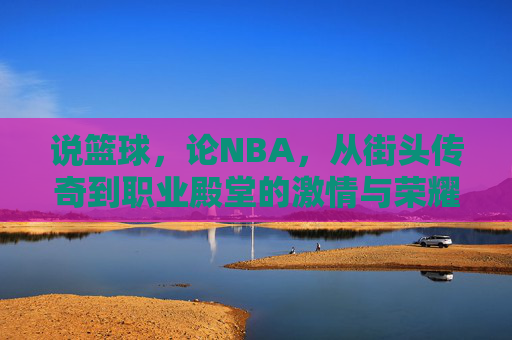 说篮球,论NBA,从街头传奇到职业殿堂的激情与荣耀