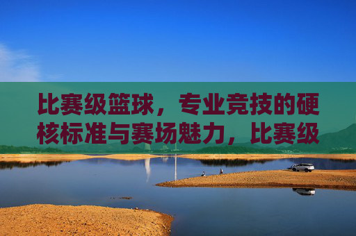 比赛级篮球,专业竞技的硬核标准与赛场魅力,比赛级篮球,专业竞技的硬核标准与赛场魅力