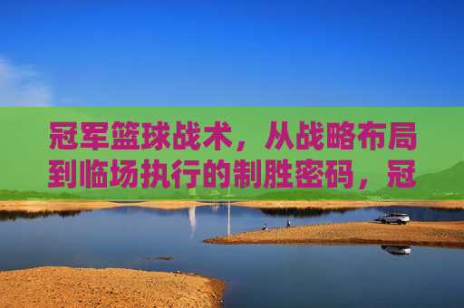 冠军篮球战术，从战略布局到临场执行的制胜密码，冠军篮球战术，从战略布局到临场执行的制胜密码