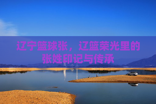 辽宁篮球张,辽篮荣光里的张姓印记与传承