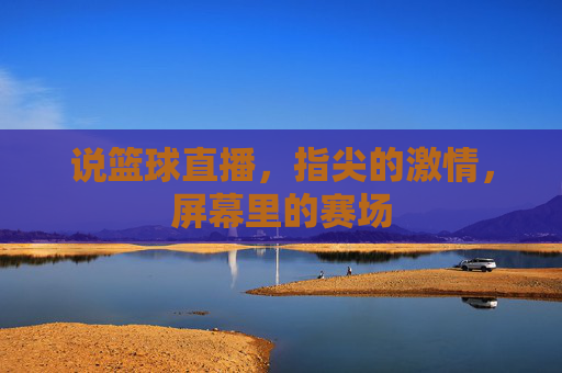 说篮球直播,指尖的激情,屏幕里的赛场