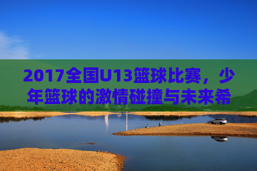 2017全国U13篮球比赛，少年篮球的激情碰撞与未来希望，2017全国U13篮球比赛，少年篮球的激情碰撞与未来希望