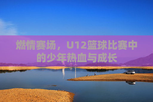 燃情赛场,U12篮球比赛中的少年热血与成长