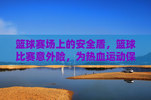 篮球赛场上的安全盾,篮球比赛意外险,为热血运动保驾护航,篮球比赛意外险,为热血运动筑起安全盾