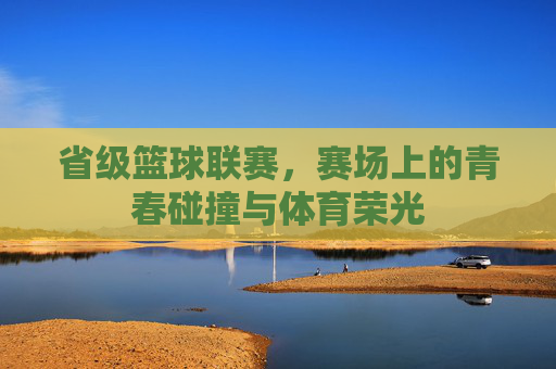 省级篮球联赛,赛场上的青春碰撞与体育荣光