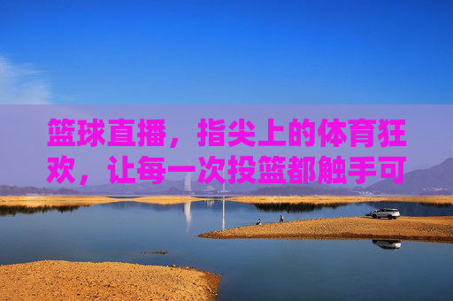 篮球直播,指尖上的体育狂欢,让每一次投篮都触手可及的激情体验