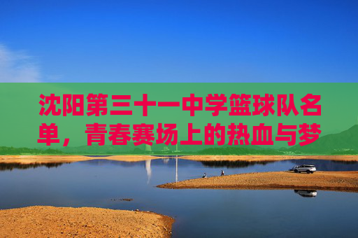 沈阳第三十一中学篮球队名单，青春赛场上的热血与梦想
