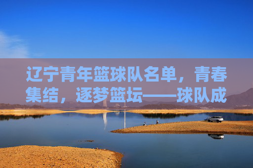 辽宁青年篮球队名单,青春集结,逐梦篮坛——球队成员与背景全解析