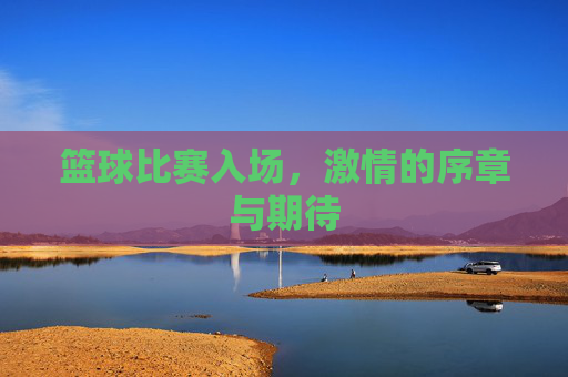 篮球比赛入场,激情的序章与期待