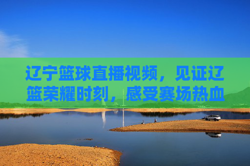 辽宁篮球直播视频，见证辽篮荣耀时刻，感受赛场热血沸腾